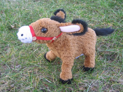 Ernest Plush